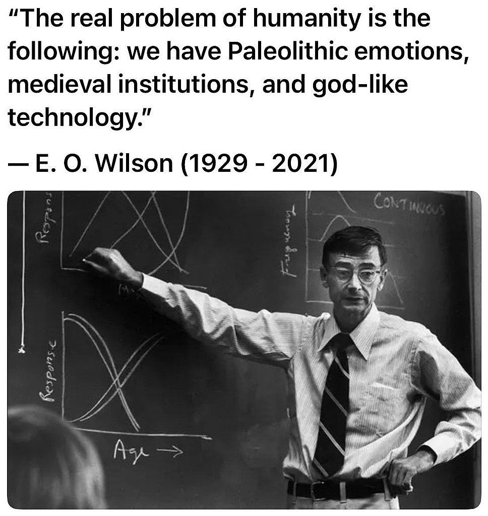 4054700d0929e2aa524d5885c9c3cff4.jpg