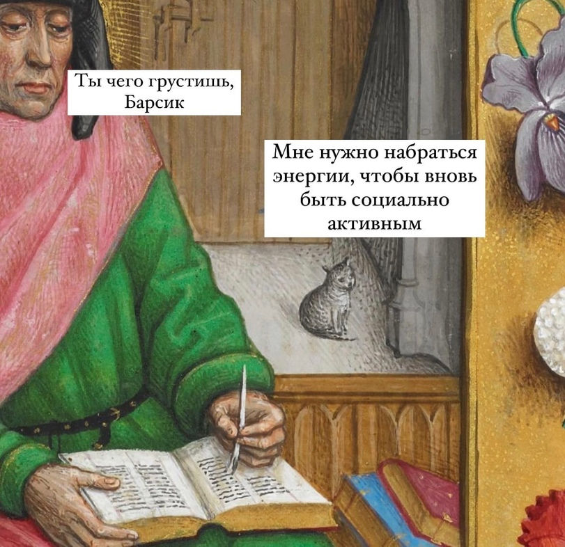 социально не активный барсик.jpg