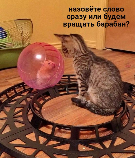 2020-04-11 18-08-04.jpg