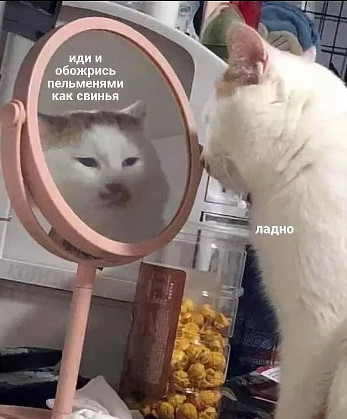 wgzrcj3m.jpg