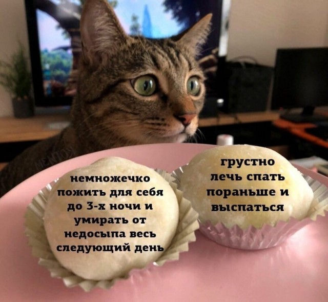 16741359.jpg