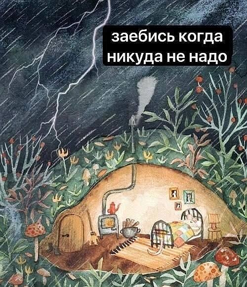 2mdvl3mk.jpg