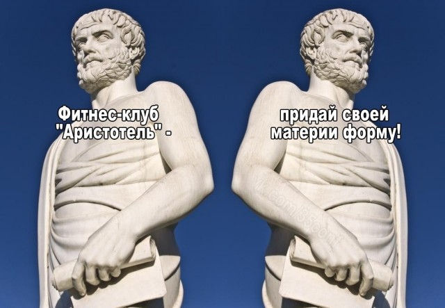 16637283.jpg