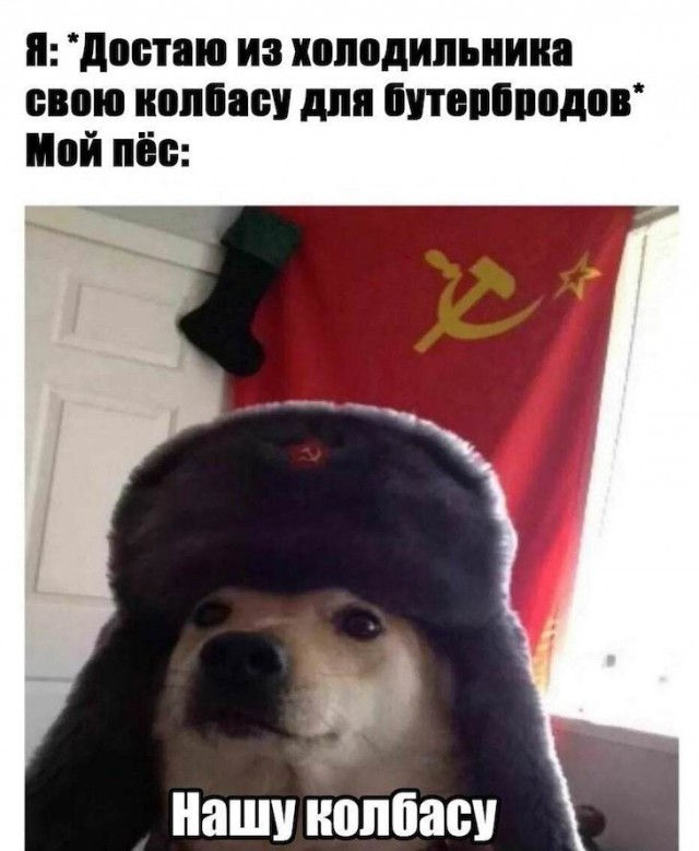 2019-12-14 09-26-53.jpg