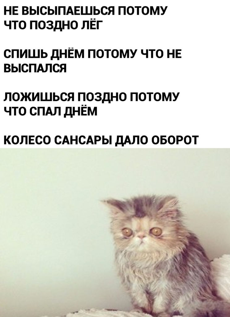 2020-07-30 22-40-35.jpg